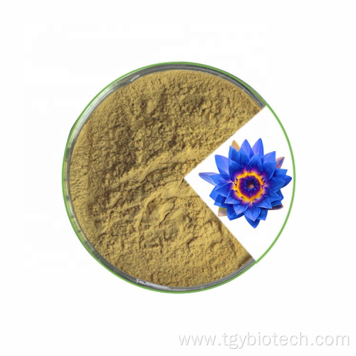 Top Quality Wholesale Blue Lotus Flower Extract Powder